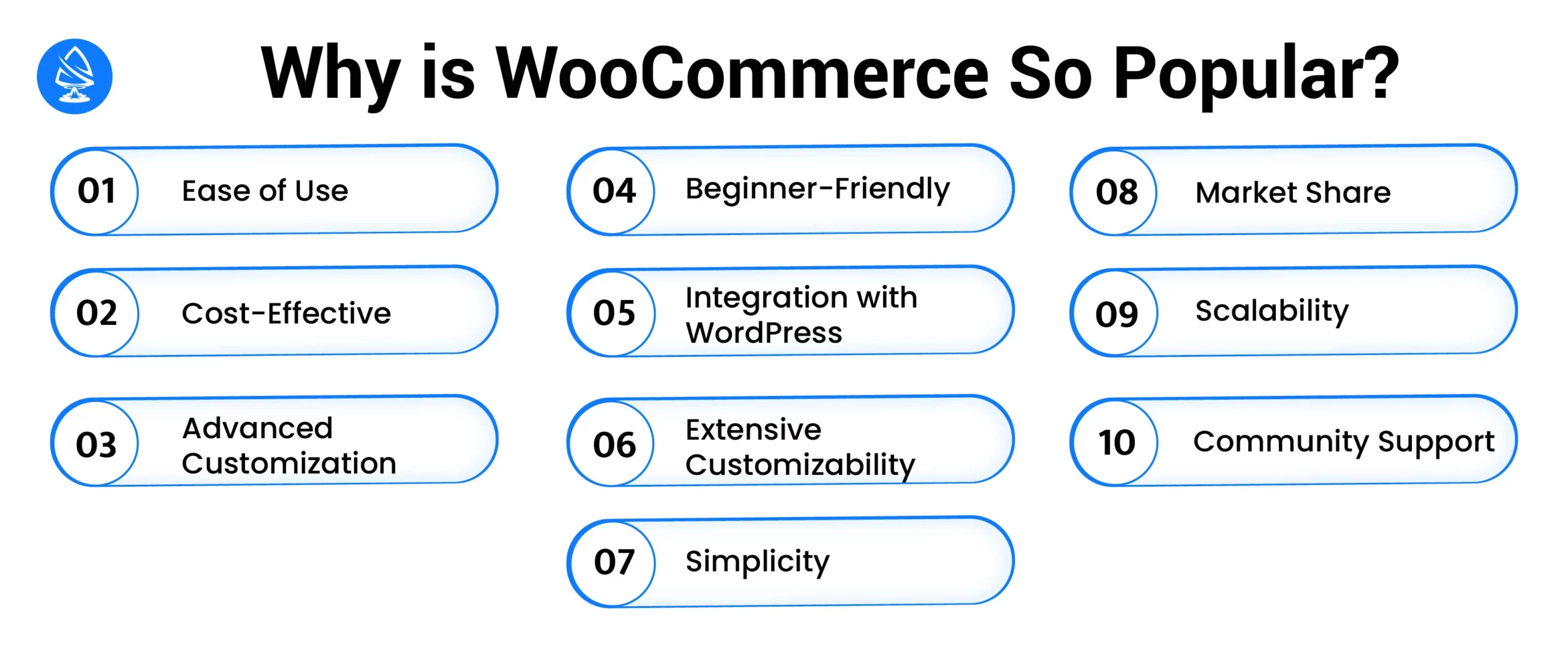Why Is WooCommerce So Popular