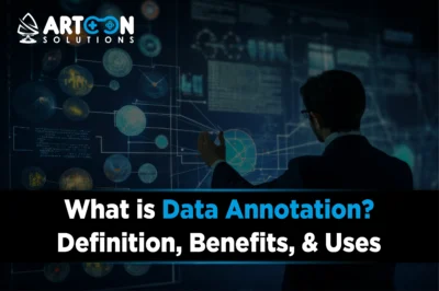 Data Annotation